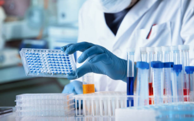 On-Site Laboratory