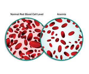 Diabetes__Blood_Sugar_Disorders